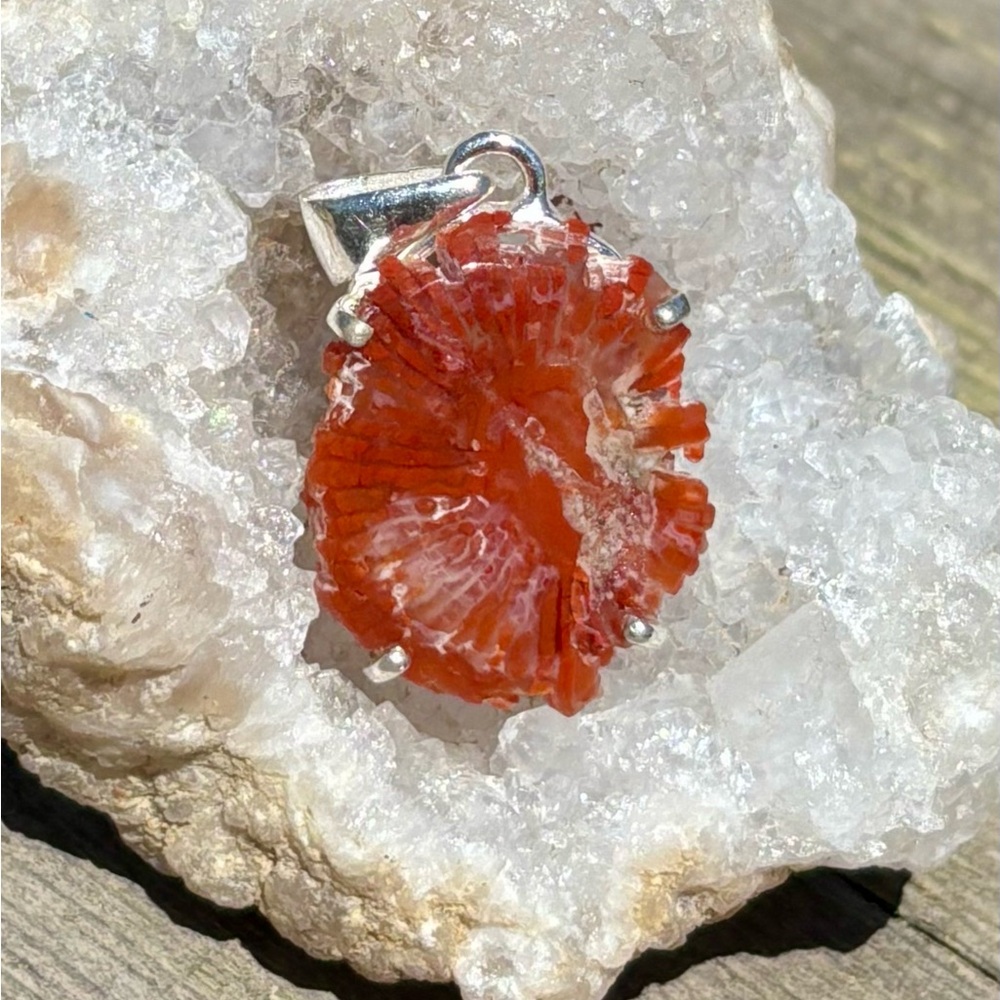 Red Horn Coral Necklace - Picture 9 of 11